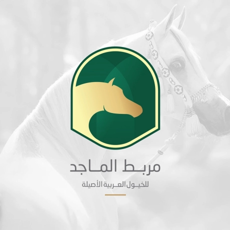 مربط ماجد (3)